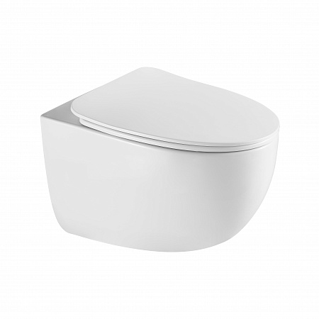 Подвесной унитаз безободковый Terminus Енисей Monolit 560х390 белый Балаково - фото 2