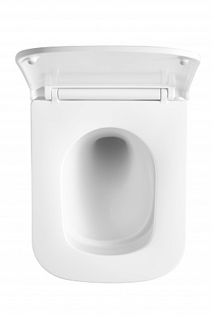 Подвесной унитаз безободковый Terminus Ватикан Monolit 490х340 белый Балаково - фото 3